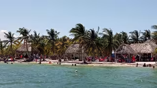 Playas de Yucatán son aptas para vacacionistas; niveles bacteriológicos  están hasta 20 veces por debajo del límite sanitario