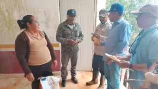 En Yucatán, solo siete de cada 100 campesinos utilizan semillas de maíz mejoradas