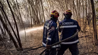 Yucatán libra con leves daños la temporada de incendios forestales: sólo registra tres siniestros