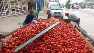 En Candelaria el tomate se cotiza entre 40 y 50 pesos