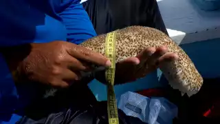 El Gobierno del Estado trabajará en conjunto con el Cinvestav