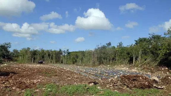 La realidad termina siendo un terreno en el monte sin el alcance a los servicios básicos La realidad termina siendo un terreno en el monte sin el alcance a los servicios básicos