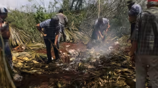 Advierten en Peto por la pérdida de ceremonias mayas relacionadas con el campo