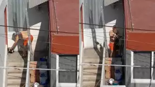 Las autoridades poblanas no han dado respuesta a la denuncia por maltrato animal