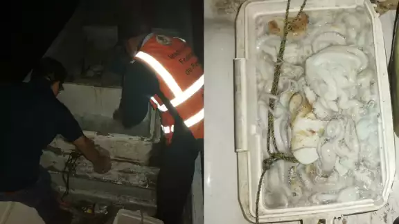 Pescadores temen que esta temporada de pulpo siga igual de baja que la de 2022 Pescadores temen que esta temporada de pulpo siga igual de baja que la de 2022