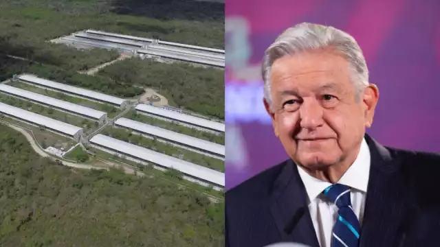 La Semarnat realizó un estudio sobre la contaminación de las granjas porcícolas