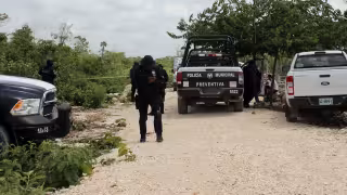 La búsqueda se hace en una zona selvática