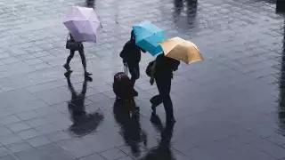 Los efectos de la Onda Tropical 24 continúan en Campeche