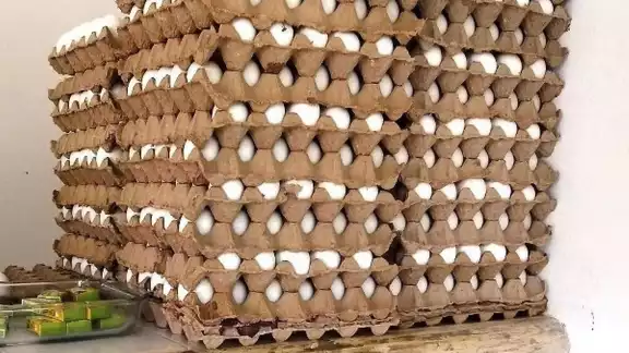 Durante la temporada de frío se afecta la productividad en las granjas