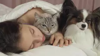 Estas son las enfermedades que te puede contagiar tu mascota por dormir con ella