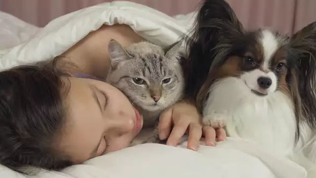 Estos son los riesgos de dormir con tu mascota