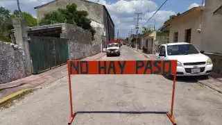 El acceso al mercado de Buctzotz permaneció cerrado hasta lograr remover el enjambre de abejas