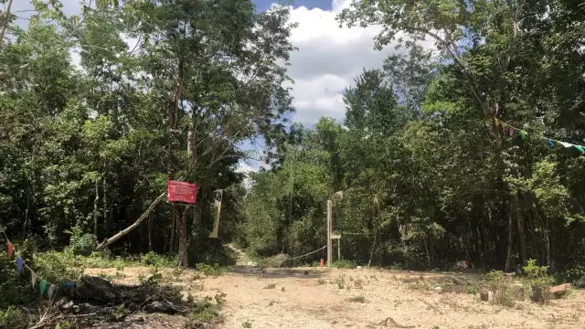 La zona está compuesta por 25 lagunas y 100 cenotes en 22 km de selva virgen