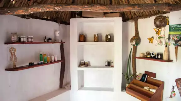 La familia De la Cruz-Castillo ha emprendido en el interior de su predio el rescate del solar tradicional maya La familia De la Cruz-Castillo ha emprendido en el interior de su predio el rescate del solar tradicional maya
