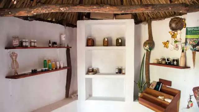 La familia De la Cruz-Castillo ha emprendido en el interior de su predio el rescate del solar tradicional maya