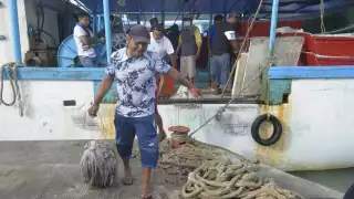 Cambio climático afecta en la pesca de pulpo maya en la costa de Yucatán