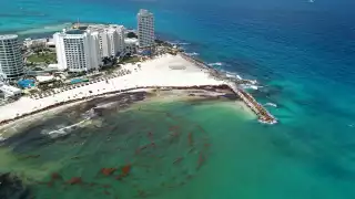 Cozumel fue el destino turístico de Quintana Roo que registró mayores afectaciones por el recale de sargazo