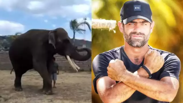 Acusan al exconductor de Survivor México de armar un espectáculo