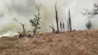 Se reportó incendio en Xochimilco que consumió 10 hectáreas