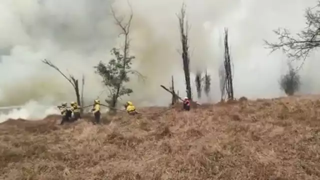 Se reportó incendio en Xochimilco que consumió 10 hectáreas