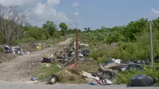 La Ruta de los Cenotes es uno de los atractivos turísticos con los que cuenta el destino, que pueden cotaminarse por la basura