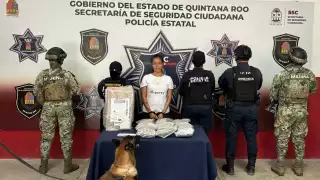K9 detecta droga en paquete durante operativo en empresa de paquetería en Chetumal; detienen a una mujer