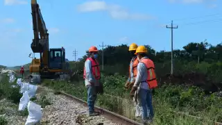 El Tren Maya es el principal proyecto del Gobierno Federal para reactivar la economía del sureste mexicano
