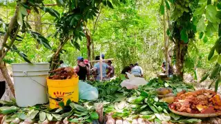 En la ceremonia maya Ch´a Cháak, los agricultores ruegan por la prosperidad de la tierra