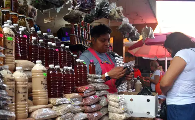 Productores yucatecos reportan como propia la miel campechana, denuncia SDA