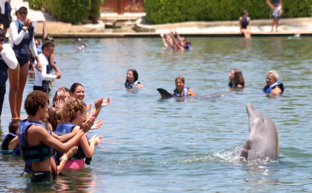 La Comisión Federal de Competencia Económica, órgano regulador en México, detectó riegos para la competencia en ese mercado de entretenimiento.