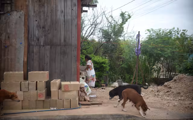 Activistas se reúnen con el fiscal Juan Manuel León y acuerdan trabajar juntos contra el maltrato