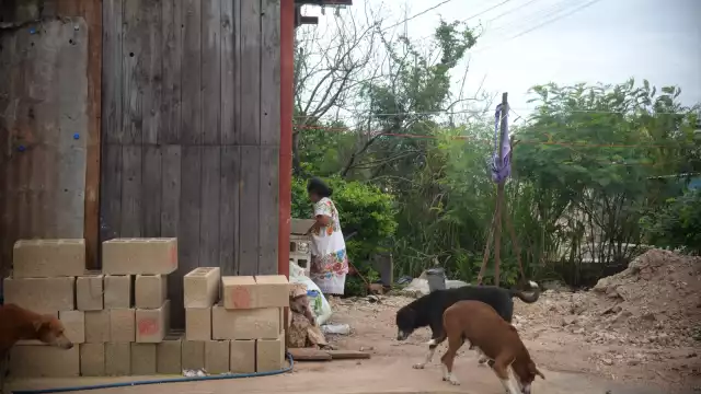 Activistas se reúnen con el fiscal Juan Manuel León y acuerdan trabajar juntos contra el maltrato
