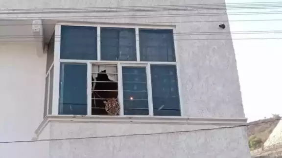 El Tigre se encontraba encerrado en el domicilio, fue descubierto por vecinos cuando se asomaba por la ventana El Tigre se encontraba encerrado en el domicilio, fue descubierto por vecinos cuando se asomaba por la ventana