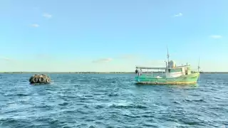 En Dzilam de Bravo, Yucatán: Revuelcan boya localizada en altamar