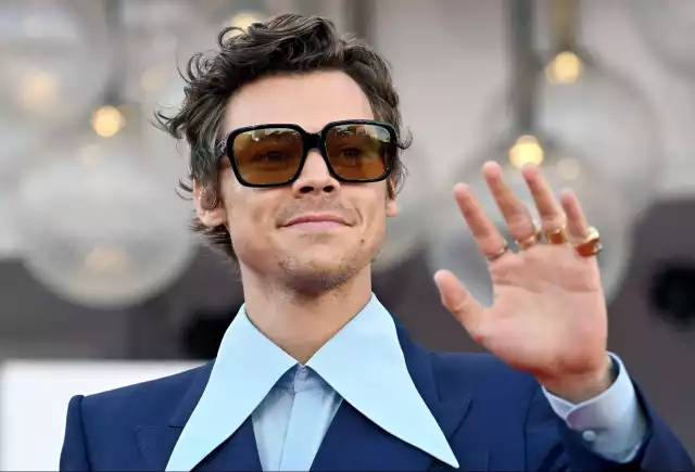 ¿Harry Styles regresará?