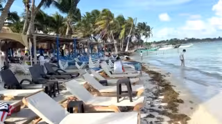 Llega sargazo de forma anticipada a Mahahual y enciende alertas