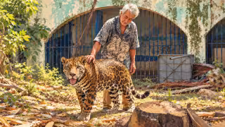La tenencia de un jaguar por parte de "Pepe Tigre" reabrió el debate ambiental en Cancún.