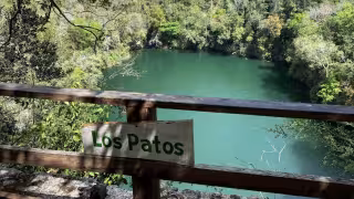 Cenotes de Campeche: conoce los tres atractivos naturales de Miguel Colorado