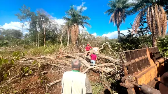 La agencia gubernamental informó que han sido más de 400 hectáreas de selva afectadas por este grupo poblacional
