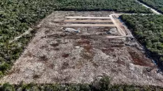 Profepa amplía denuncia penal contra Crío por violación de clausura ambiental en la zona maya de Tzemé en Kinchil