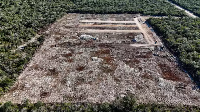 Profepa refuerza acciones legales por daño a terrenos forestales en Kinchil