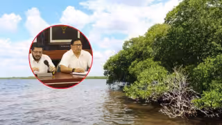 Salieron a pescar y no volvieron: buscan a dos jóvenes desaparecidos en manglares de Campeche