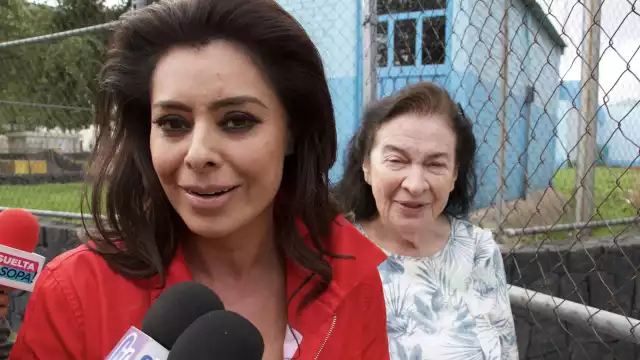 La actriz volverá a la pantalla chica