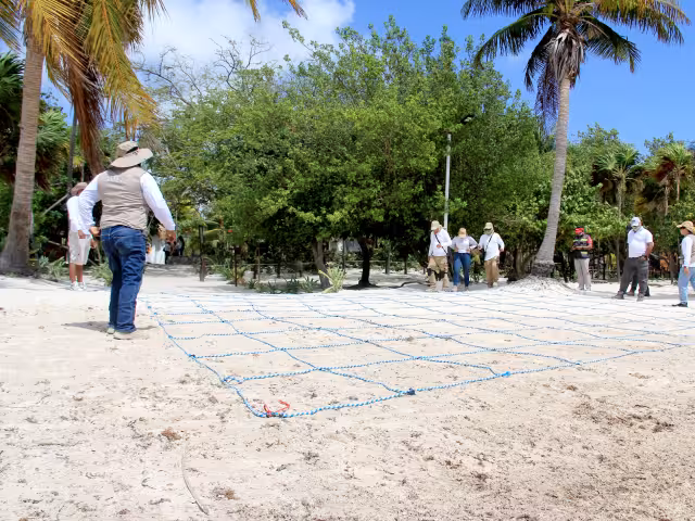 En Coral, empleados de diversas dependencias del Ayuntamiento Benito Juárez y de la Fundación Europea encontraron plásticos, tapas de botellas y residuos de bolsas