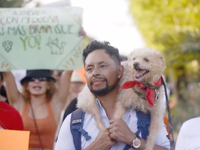 Durante la concentración se expuso que hay asociaciones civiles que lucran con perros
