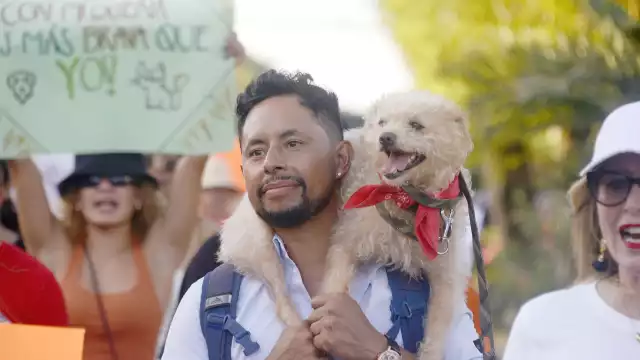 Durante la concentración se expuso que hay asociaciones civiles que lucran con perros