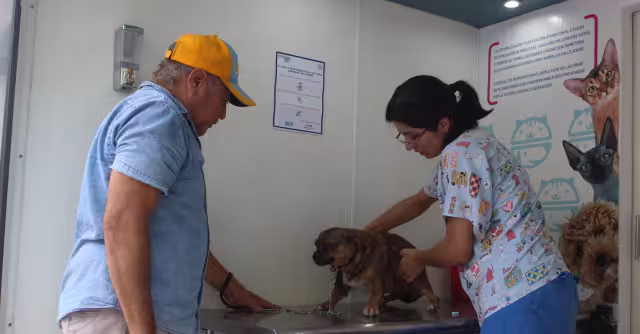 El año pasado Yucatán se colocó en octavo lugar en reportes de ataques, con 4 mil 430 incidentes