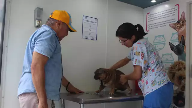 El año pasado Yucatán se colocó en octavo lugar en reportes de ataques, con 4 mil 430 incidentes