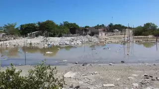 Invasión de la ciénega, causante del desplazamiento de los cocodrilos a zonas pobladas de Progreso