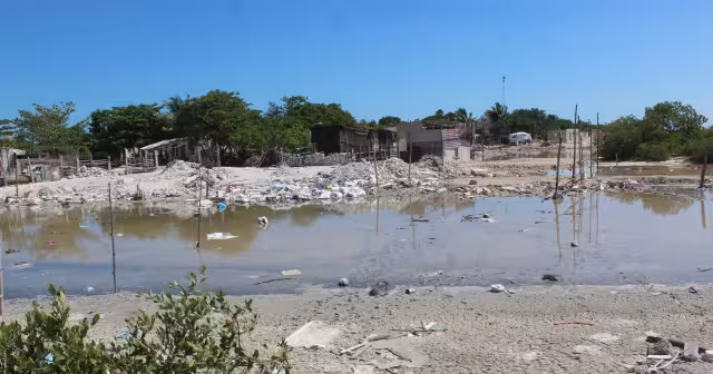 La Policía exhorta a no dañar a los cocodrilos